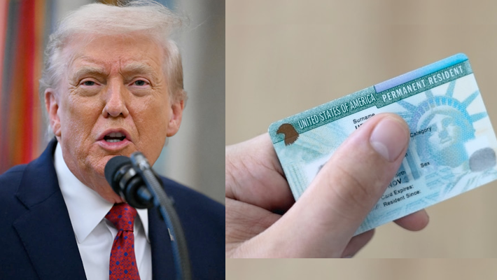 Trump, Green Card