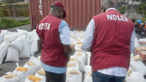 NDLEA agents in Kano