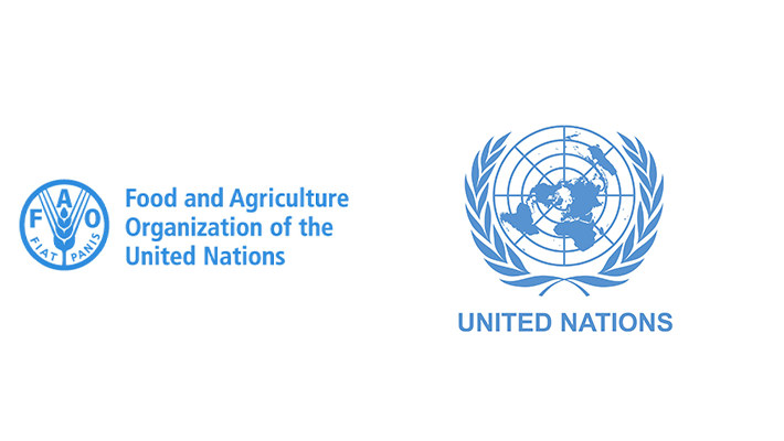 UN and FAO logos.