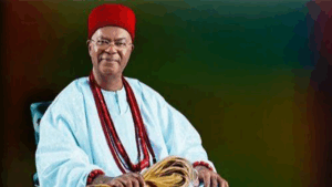 Nnaemeka Alfred Achebe