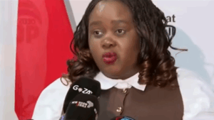 minister of justice, Mmamoloko Kubayi