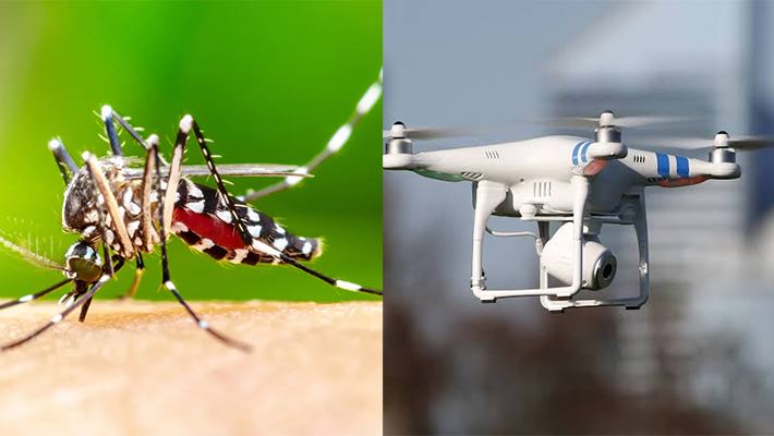 Mosquitoes, drones