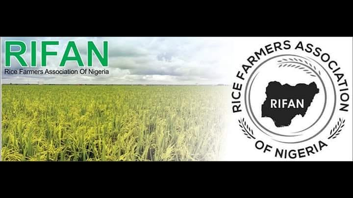 Rice Farmers Association of Nigeria (RIFAN)