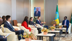 Türkiye, Ethiopia and African institutions