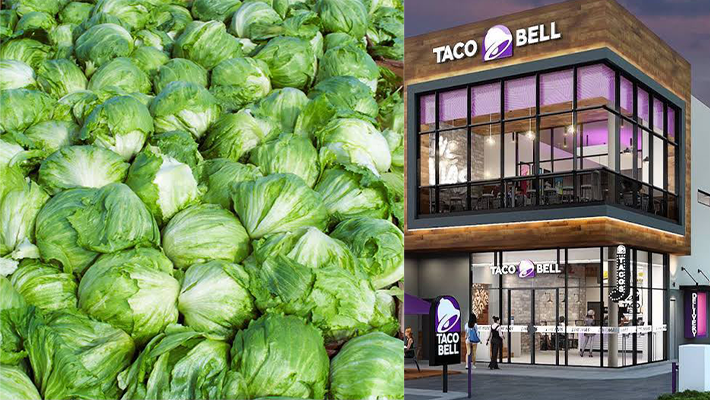 Icerberg lettuce and Taco Bell outlet.