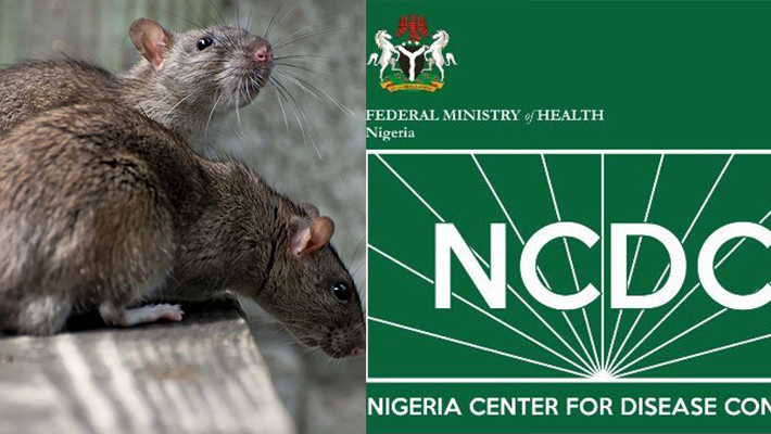 Rats and the NCDC logo
