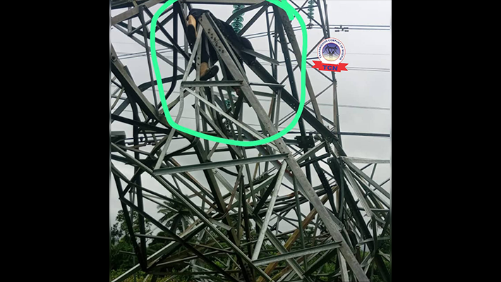 cable vandal
