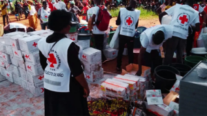 ICRC officials