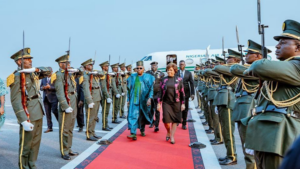 Vice President Kashim Shettima
