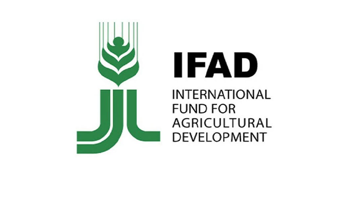 IFAD logo.