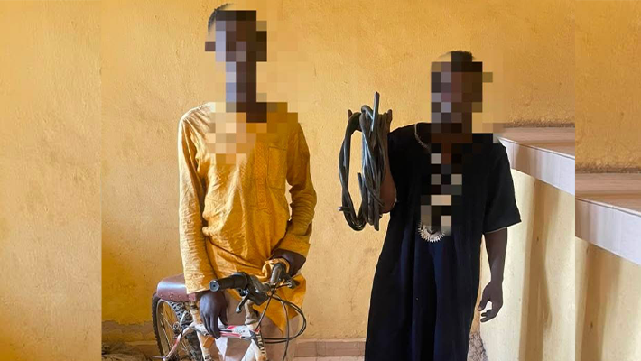 suspects over alleged theft