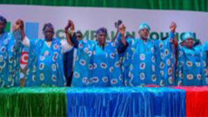 All Progressives Congress (APC) campaign council