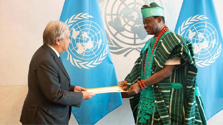 Jimoh Ibrahim at UN