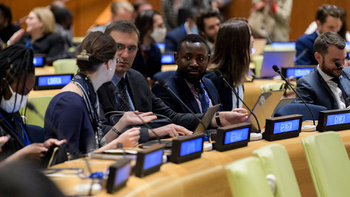 UN assembly delegates