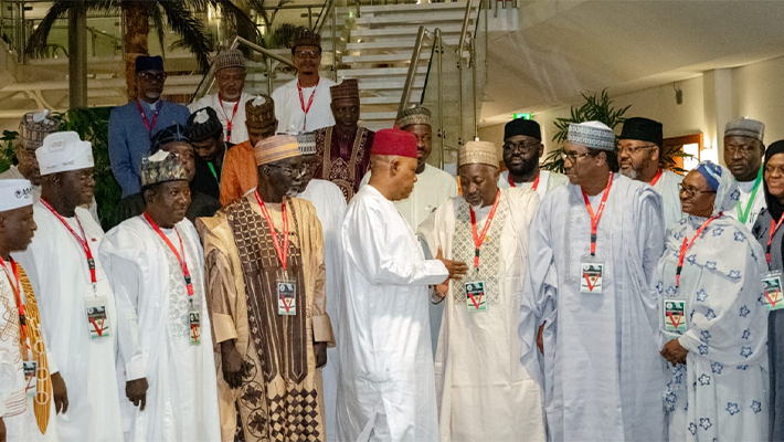 Vice-President Kashim Shettima
