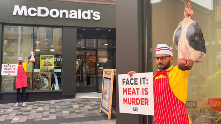 MacDonald's, protest