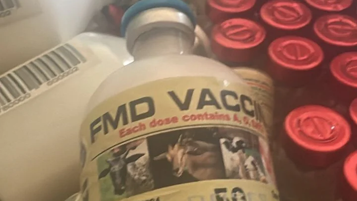 vaccines