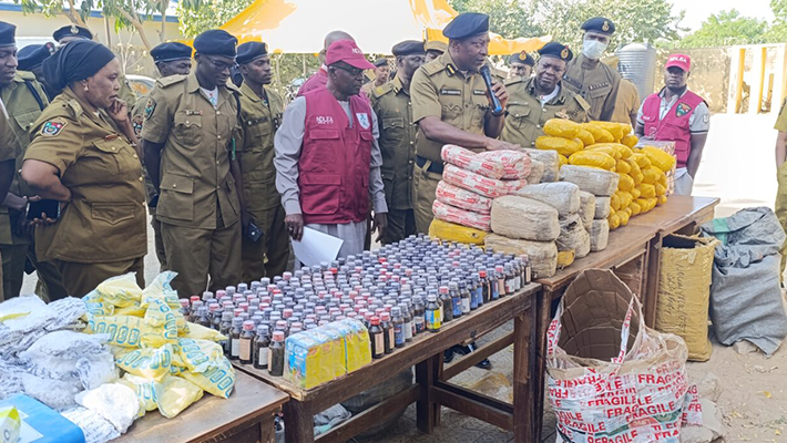 National Drug Law Enforcement Agency in Yobe State