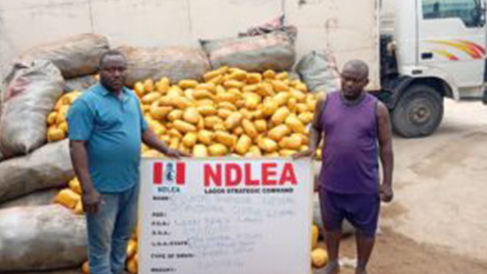 2,000kg skunk seized by NDLEA