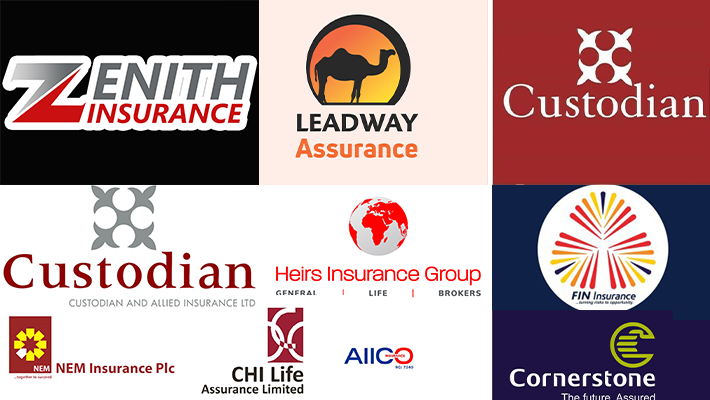 Zenith General Insurance Company Ltd., Leadway Assurance Company Ltd., Custodian Life Assurance Ltd., Custodian and Allied Insurance Plc, NEM Insurance Plc, AIICO Insurance Plc, CHI Life Assurance Ltd., Heirs General Insurance Ltd., FIN Insurance Company Ltd., Cornerstone Insurance Plc and Mutual Benefits Assurance Plc.