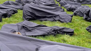 Body bags