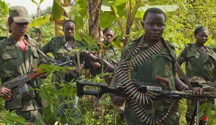 DRC's CODECO militia