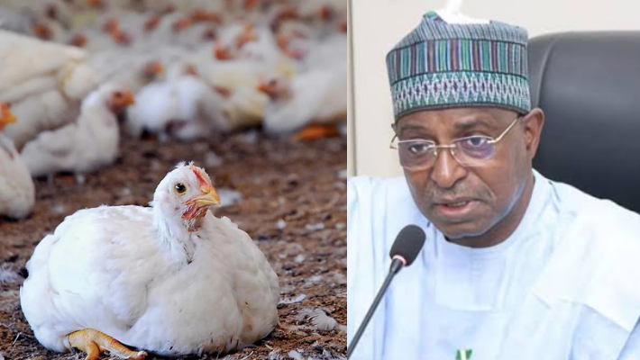 Poultry and livestock minister Mukhtar-Maiha.