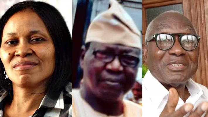 Joe Okei-Odumakin, Col Oloruntoba, Ayoka Lawani