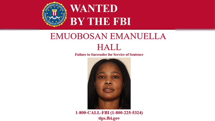 Ms Hall's Wanted Poster