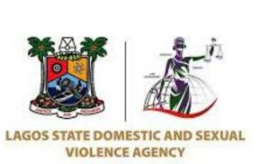 Domestic and Sexual Violence Agency