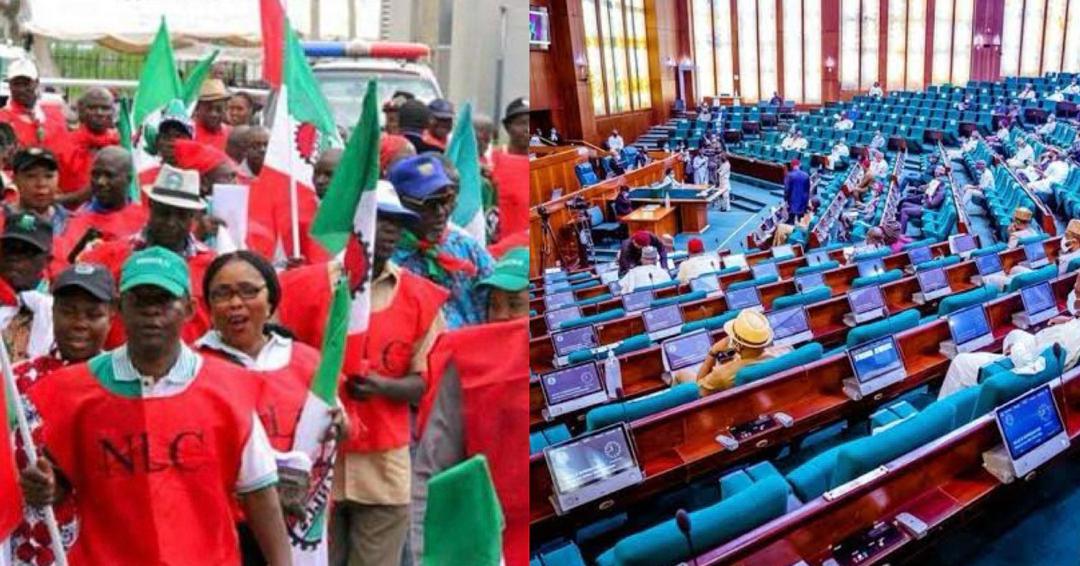 NLC protest and House of Reps (credit: PT)