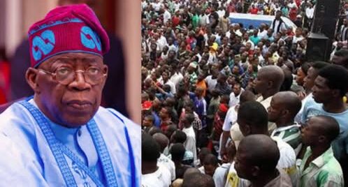 Nigerians, Tinubu