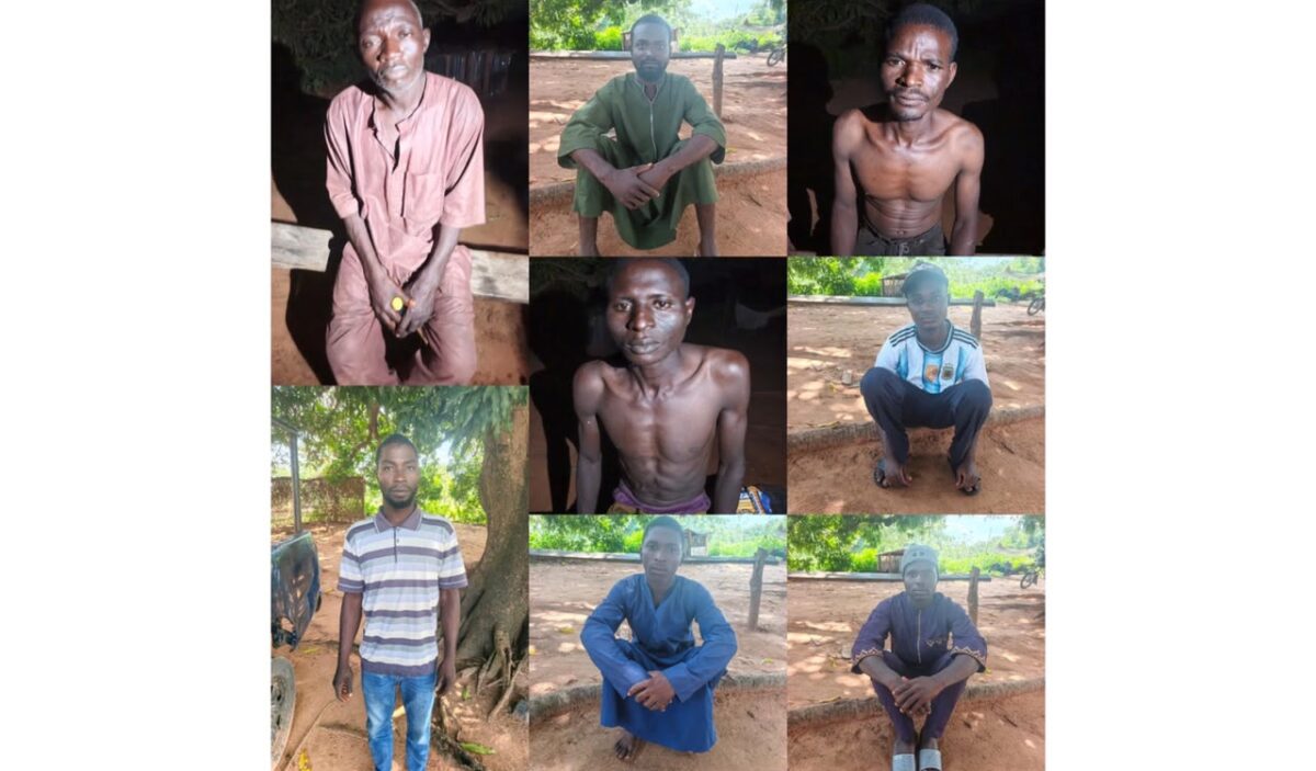 Eight people freed from bandits