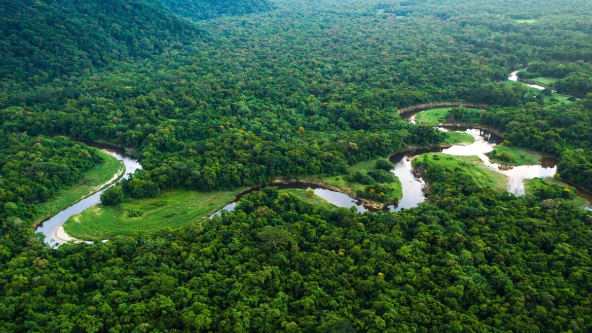Brazil’s Amazon