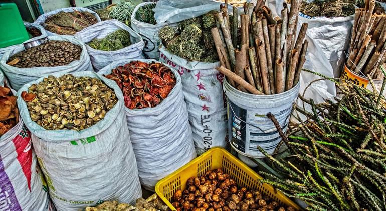 Traditional medicine
