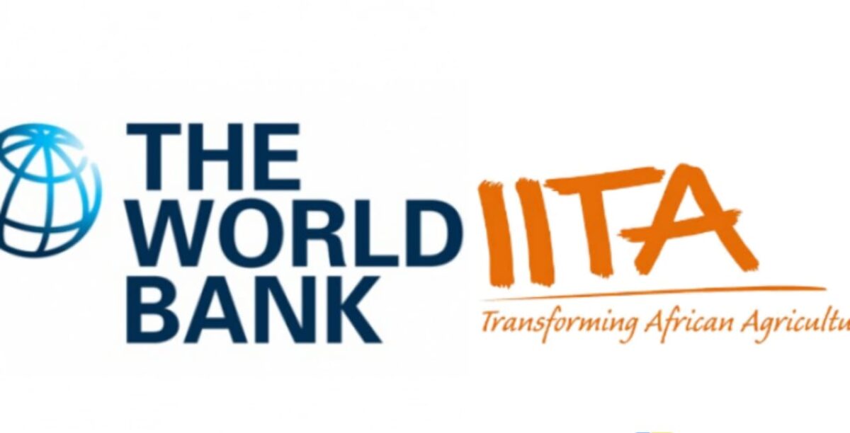 IITA and World Bank logos.
