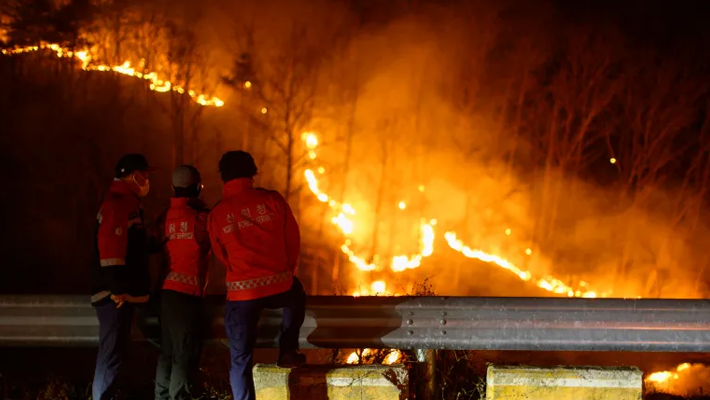 Wildfires in South Korea