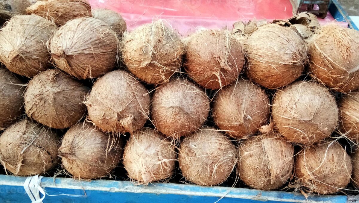 A heap of coconuts