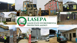 LASEPA seals 12 establishments