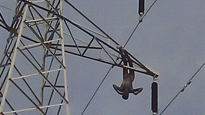 Body hanging on tower