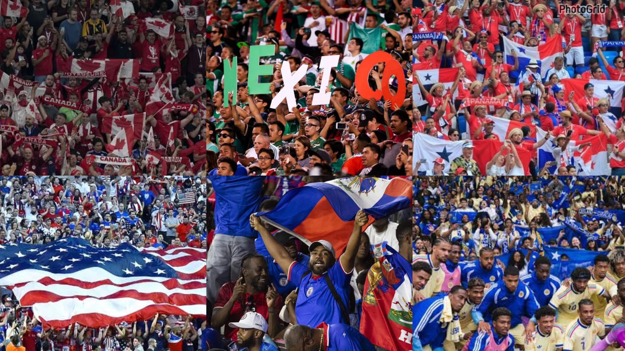 FIFA World Cup Fans