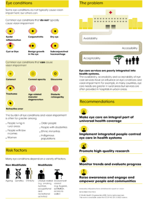World report on vision
