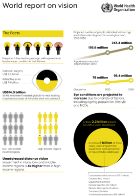 World report on vision