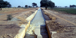 Bakalori Irrigation Scheme in Talata Mafara