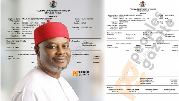 Ex-Minister Nnaji resigned after multiple allegations of certificate forgery nine months ago, he still draws salaries, allowances Ex-Minister Nnaji resigned after multiple allegations of certificate forgery nine months ago, he still draws salaries, allowances