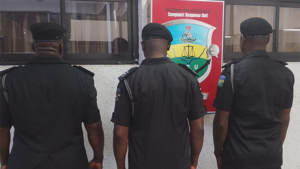 Afambu Uche and colleagues