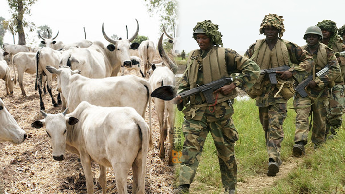 COWS, SOLDIERS