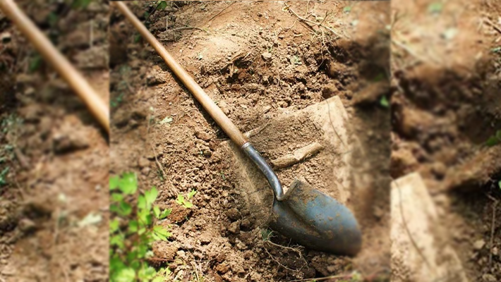 Shovel