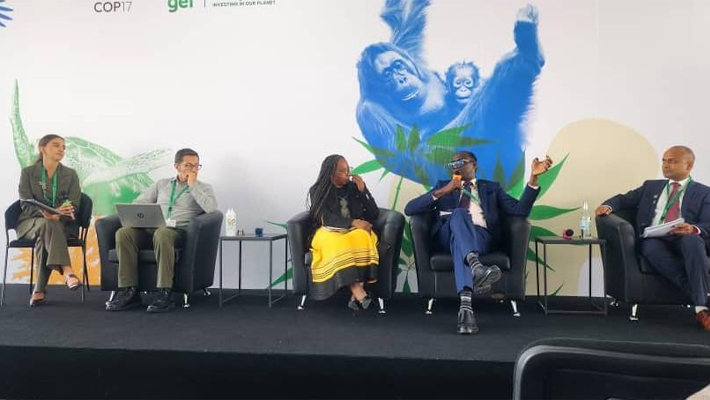 From left: Eva Bortolotti (UNDP, moderator), Andrés Factos (Ecuador), Phindile Masangane (DBSA), Dr Eugene O. Itua (AGESI) and Gaurav Gupta (UNDP).