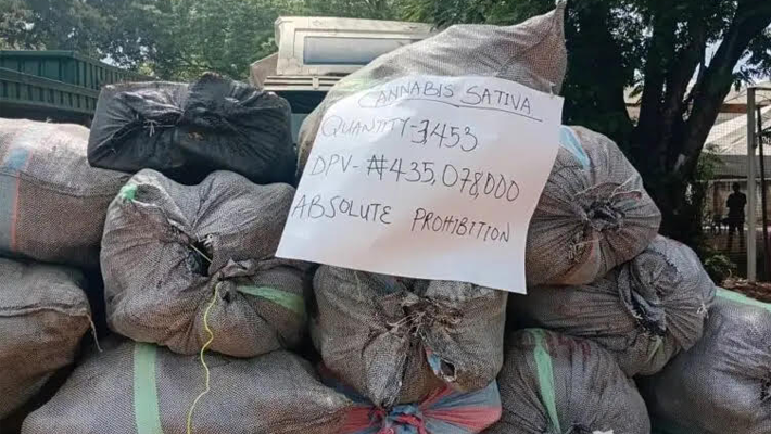 parcels of cannabis sativa